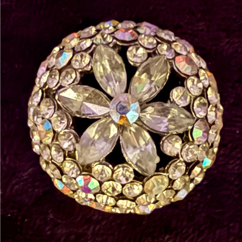 Antique/Vintage Crystal Flower Dome Button